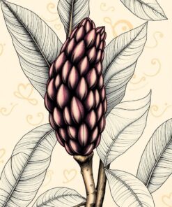 Botanical Sketch Paint Numbers