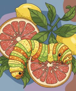 Vintage Citrus Caterpillar Study Paint By Numbers