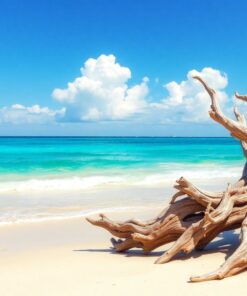 Driftwood Shore Paint Numbers