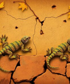 Stucco Lizards Paint Numbers