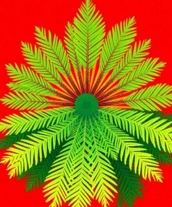 Cycad Sunburst Paint Numbers