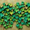 Vintage Emerald Patina Vines Paint By Numbers