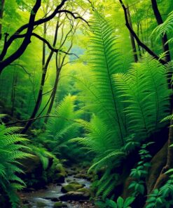 Ravine Study Paint Numbers