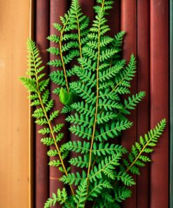 Dusty Spines Paint Numbers