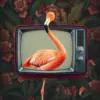 Vintage Flamingo Static Screen Paint By Numbers