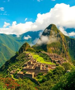 Cloud Forest Paint Numbers