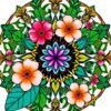 Floral Mandala Paint Numbers