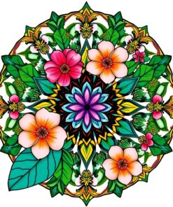Floral Mandala Paint Numbers