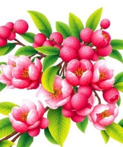 Vintage Lanai Lychee Spread Paint By Numbers