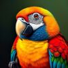 Macaw Whisperer Paint Numbers