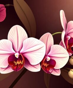 Vintage Mahogany Orchid Bloom Paint By Numbers