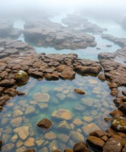 Tide Pools Paint Numbers