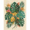 Vintage Monstera Botanical Study Paint By Numbers