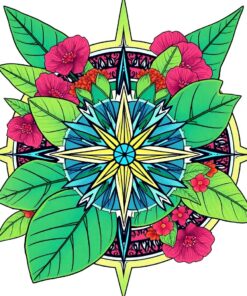 Monstera Compass Paint Numbers