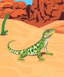 Lizard Sands Paint Numbers