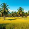 Vintage Palm Grove Pasture paint by numbers