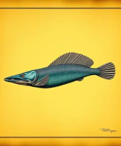 Vintage Pelican Eel Chart paint by numbers