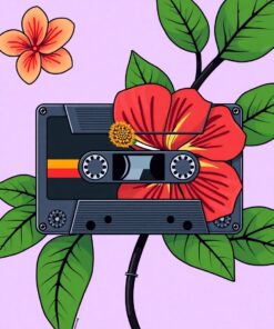 Hibiscus Cassette Paint Numbers