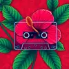 Vintage Reggae Hibiscus Cassette Paint By Numbers