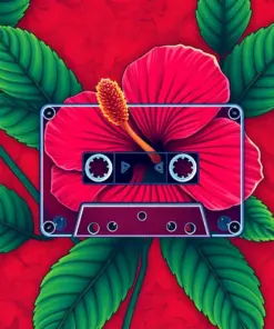 Vintage Reggae Hibiscus Cassette Paint By Numbers