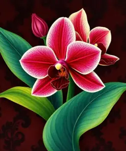 Vintage Ruby Topaz Orchid paint by numbers