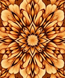 Orchid Symmetry Paint Numbers