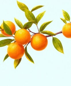 Orange Branch Paint Numbers