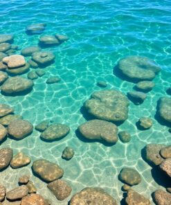 Silver Shallows Paint Numbers