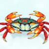 Crab Study Paint Numbers