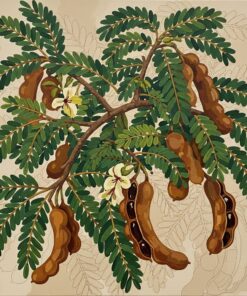 Vintage Tamarind Botanical Study Paint By Numbers