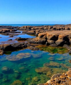 Pool Sanctuary Paint Numbers