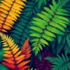 Fern Fronds Paint Numbers