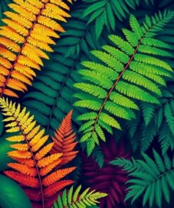 Fern Fronds Paint Numbers