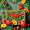 Vintage Tropical Recipe Tin Paint By Numbers