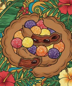 Vintage Tropical Tamarind Sweets Paint By Numbers