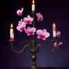 Orchid Candelabra Paint Numbers