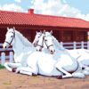 Vintage White Steeds Resting Paint By Numbers