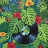Vinyl Amidst Lush Monstera Paint By Numbers