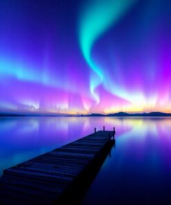 Island Dock Paint Numbers