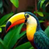 Vivid Tropical Toucan Profile Paint By Numbers