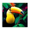 Vivid Tropical Toucan Profile Paint by Numbers