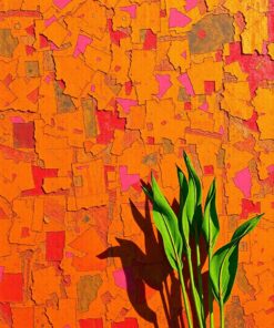 Taro Shadows Paint Numbers