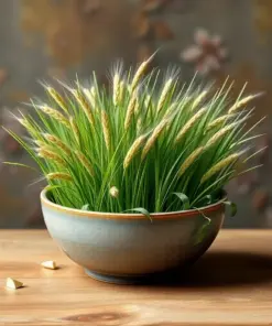 Wheatgrass In Bowl paint by numbers