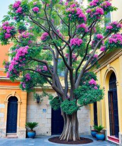 Over Stone Paint Numbers