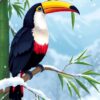 Toucan Roost Paint Numbers