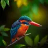 Amazonian Kingfisher paint by numbers