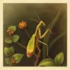 Antique Mantis Botanical Study paint by numbers