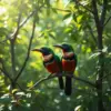 Manakins In Dappled Light paint by numbers