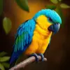 Realistic Azure Parrot Paint by Numbers