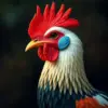 Realistic Fowl Portrait paint by numbers